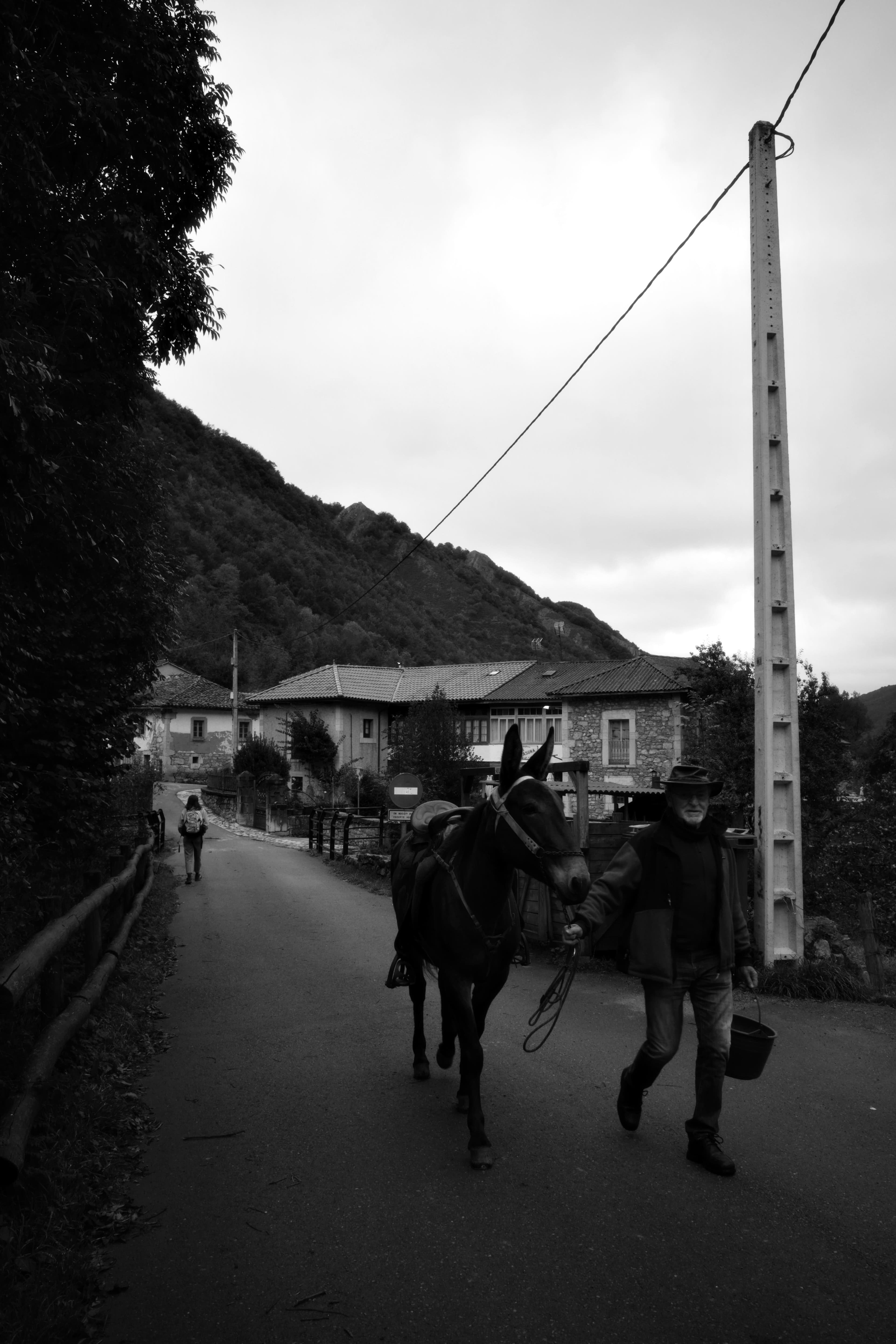 Leading the Mule: A Timeless Walk Through Rural Asturias