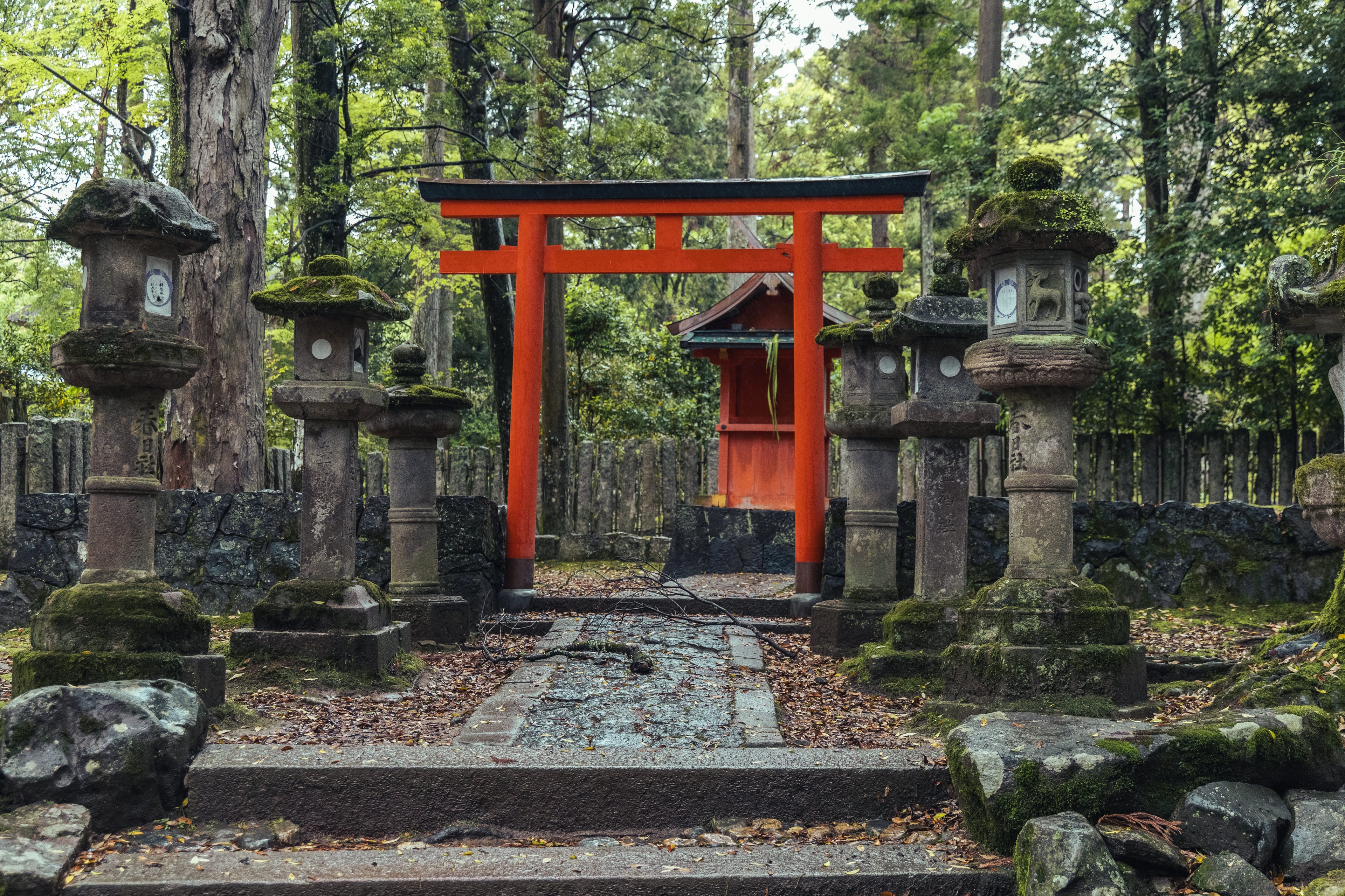 Through the Torii