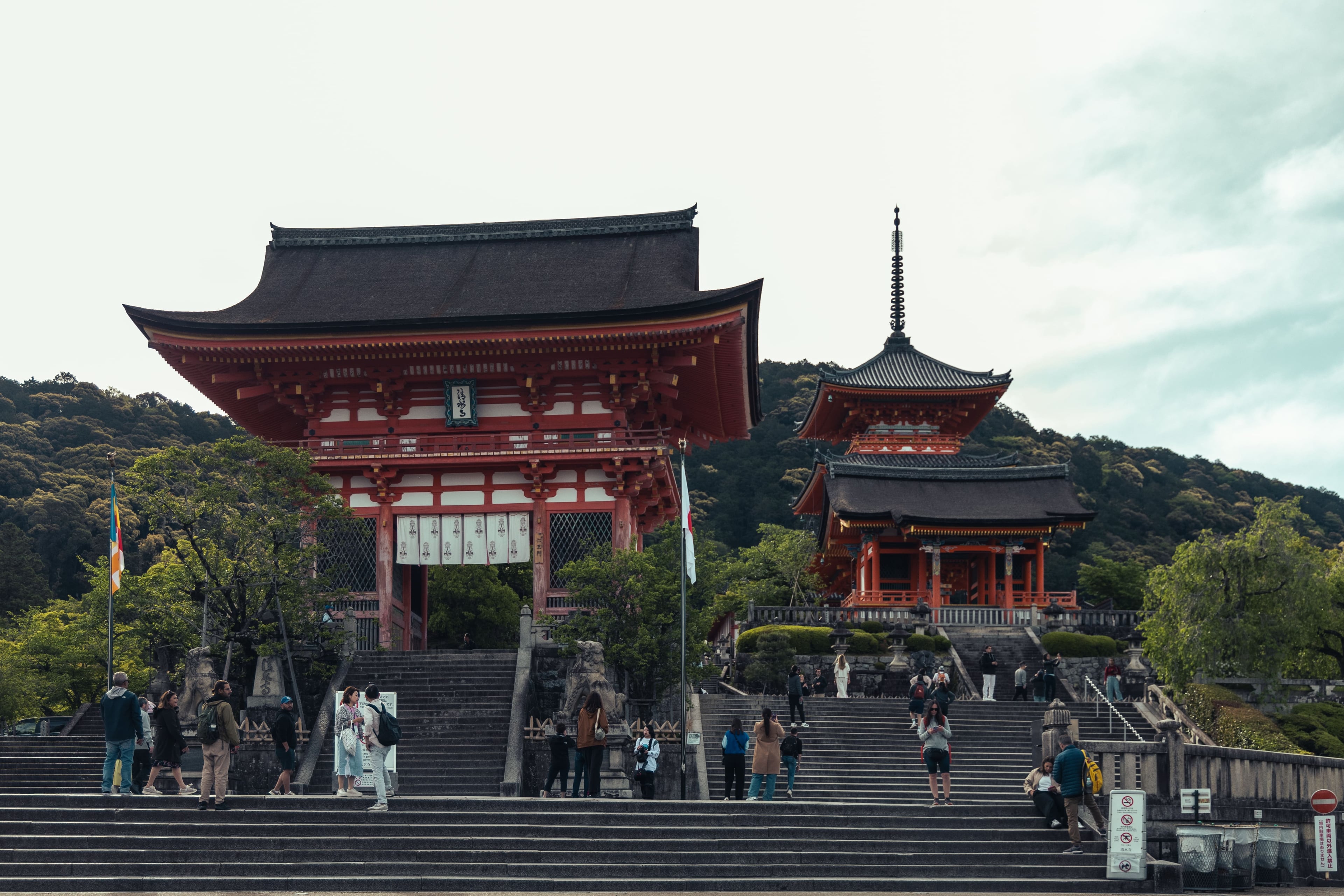 The Steps of Kyoto