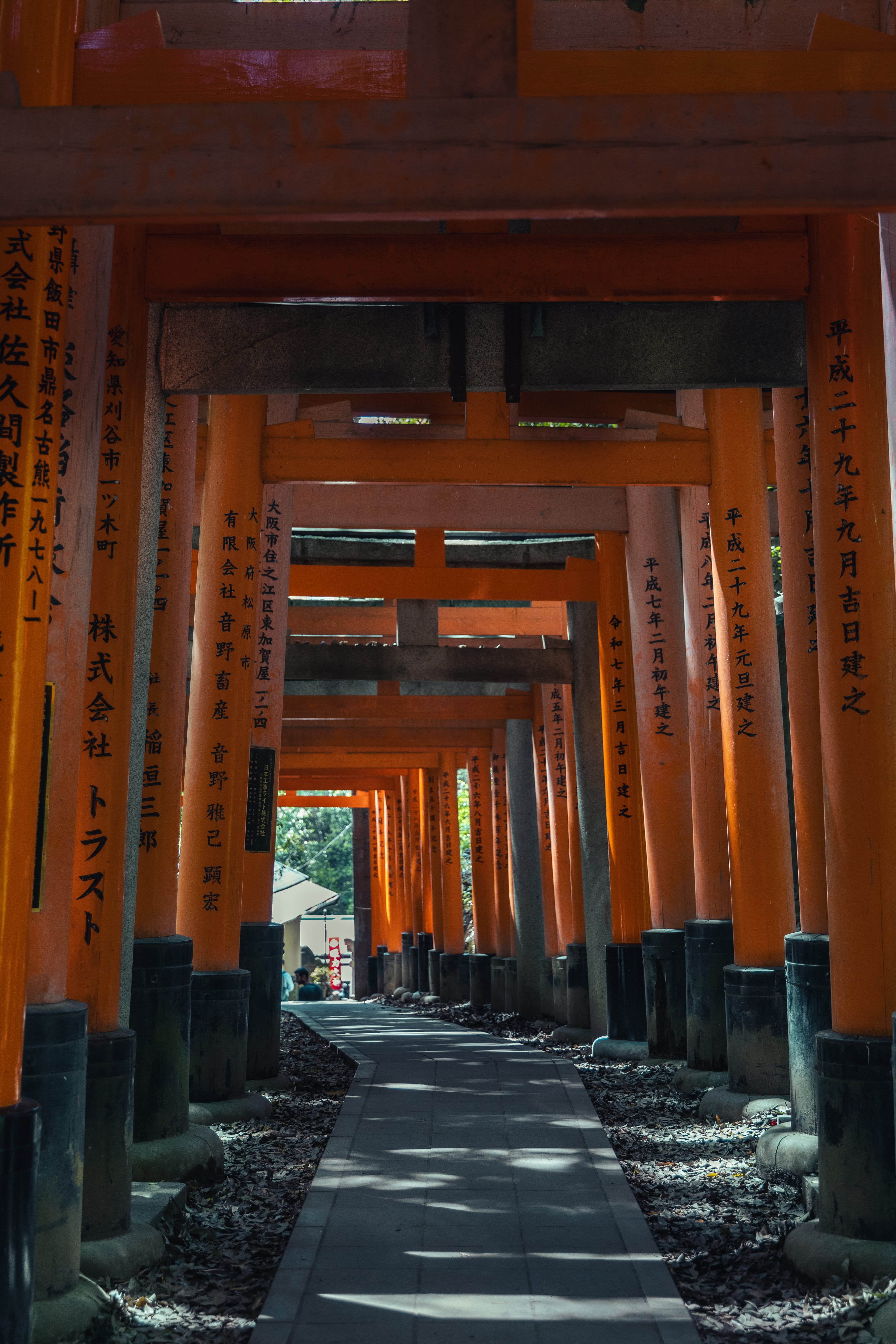 Endless Orange