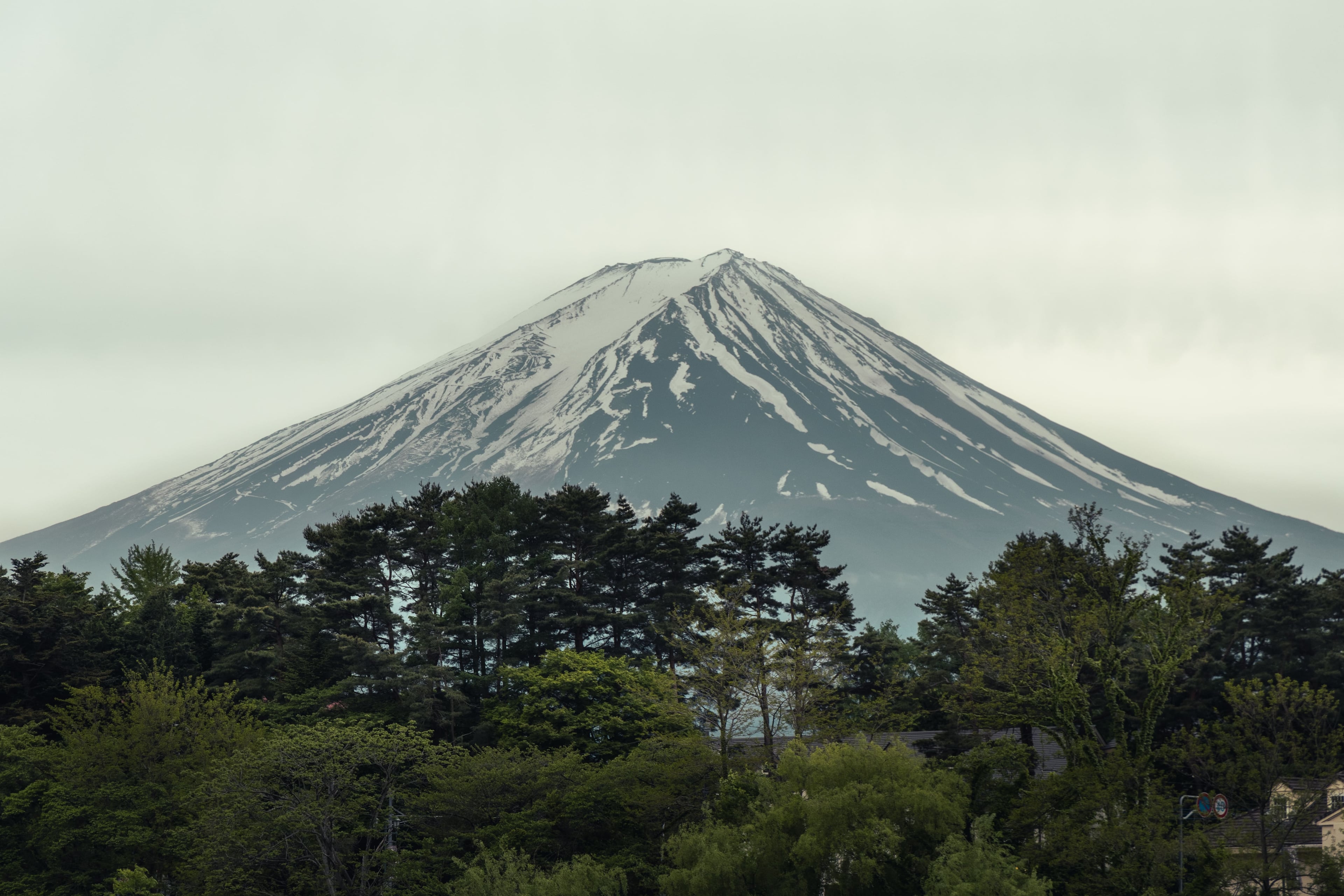 Fuji Above the Treeline