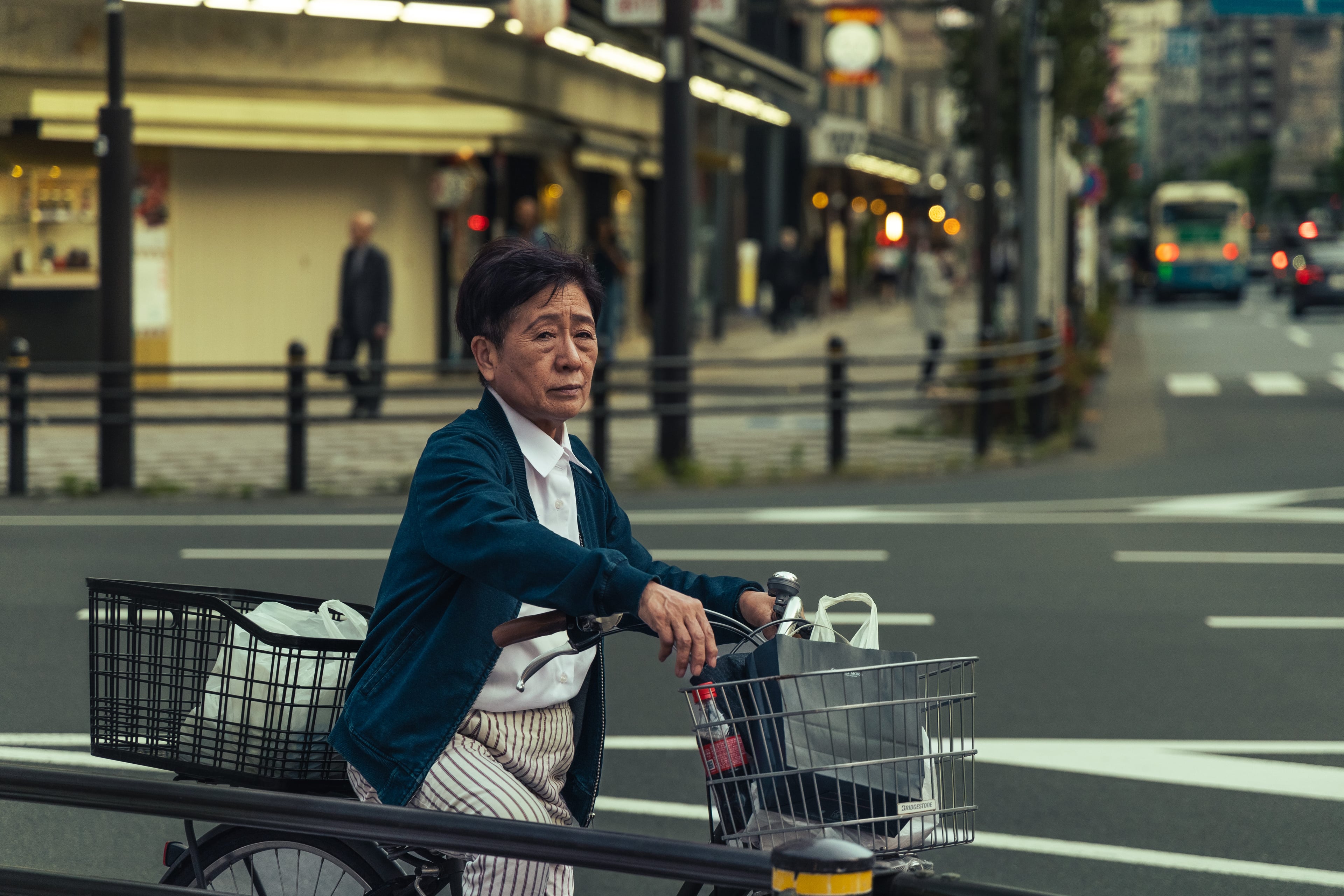 Pause at the Crossing