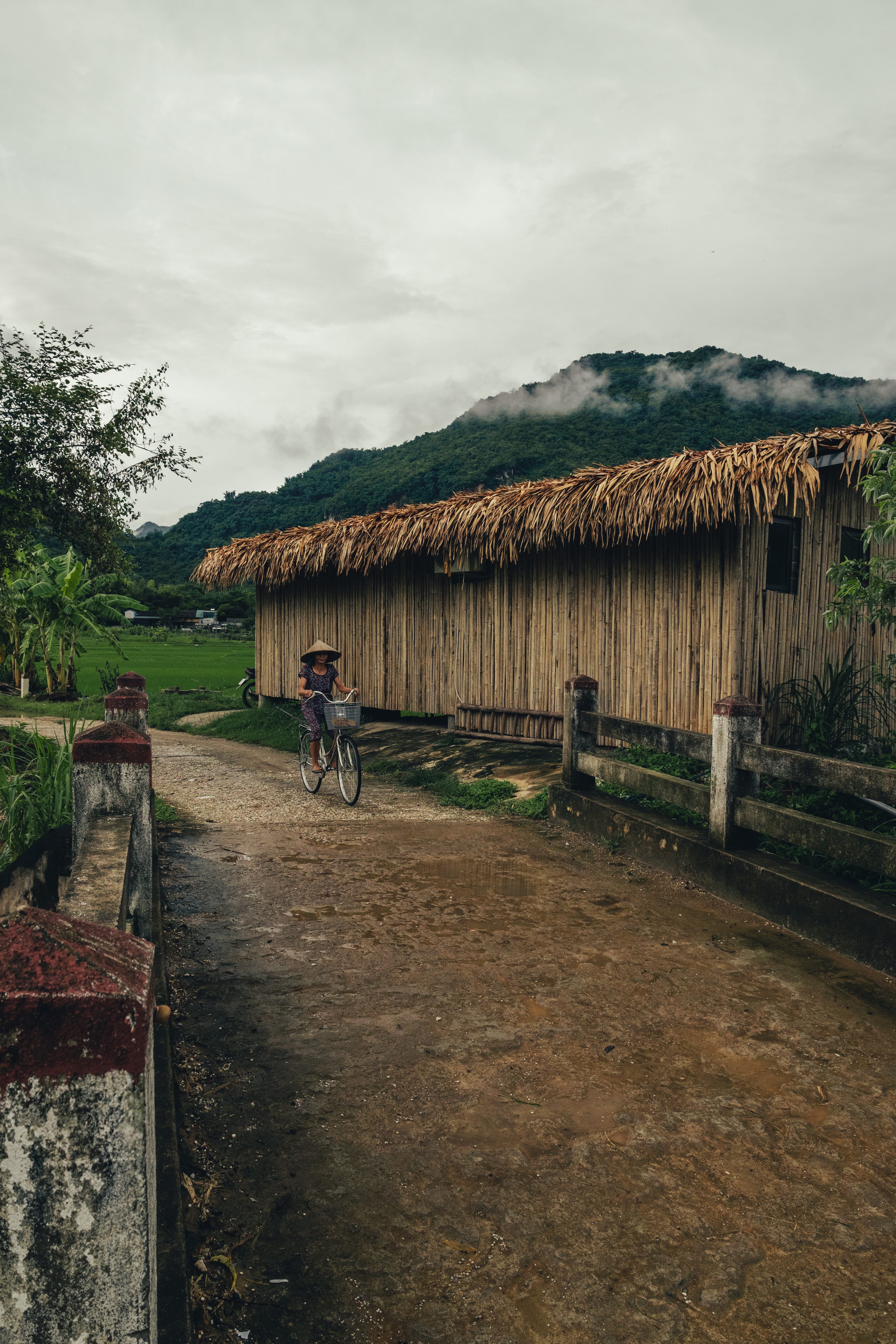 Mai Chau