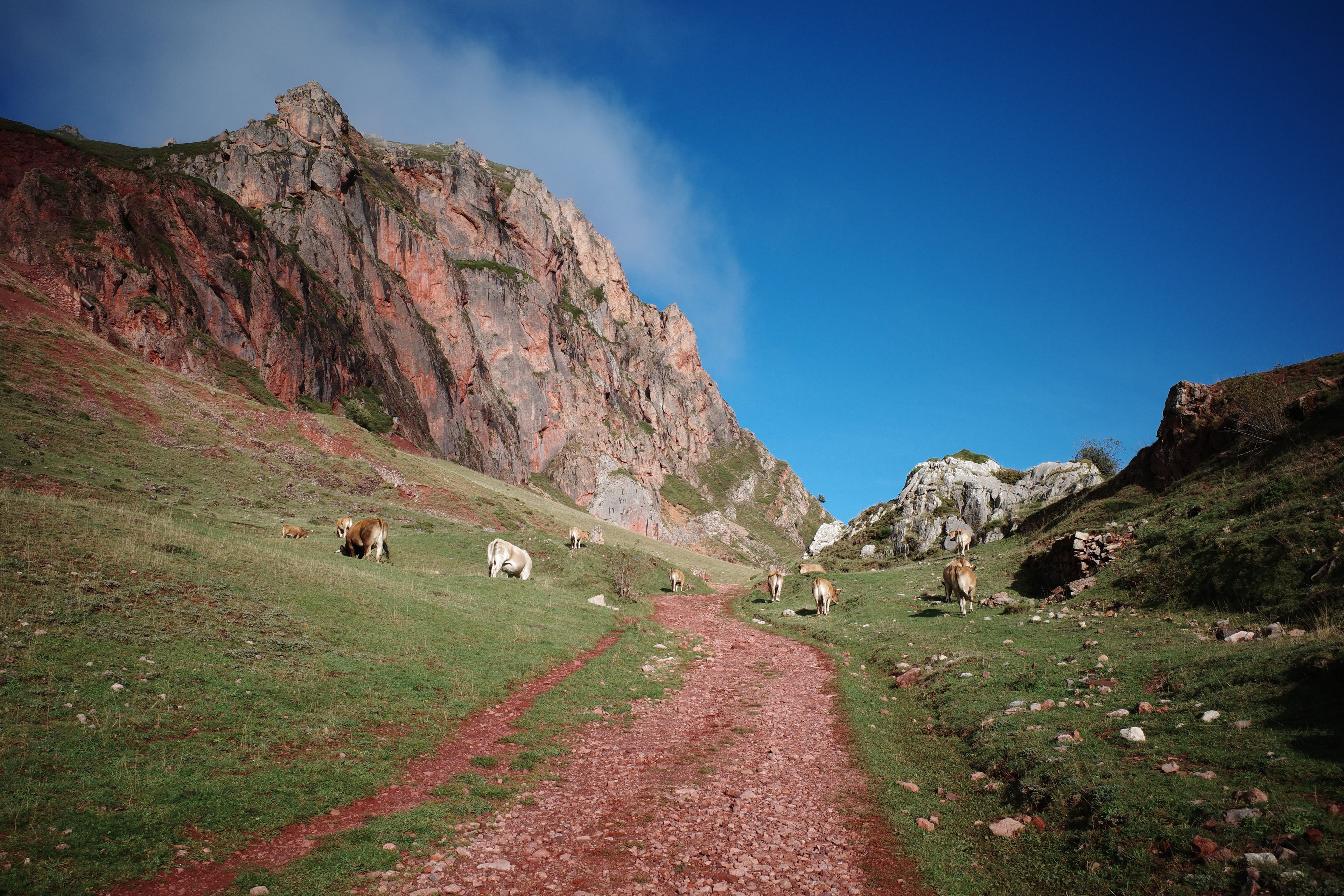 A Trail Through Rural Asturias