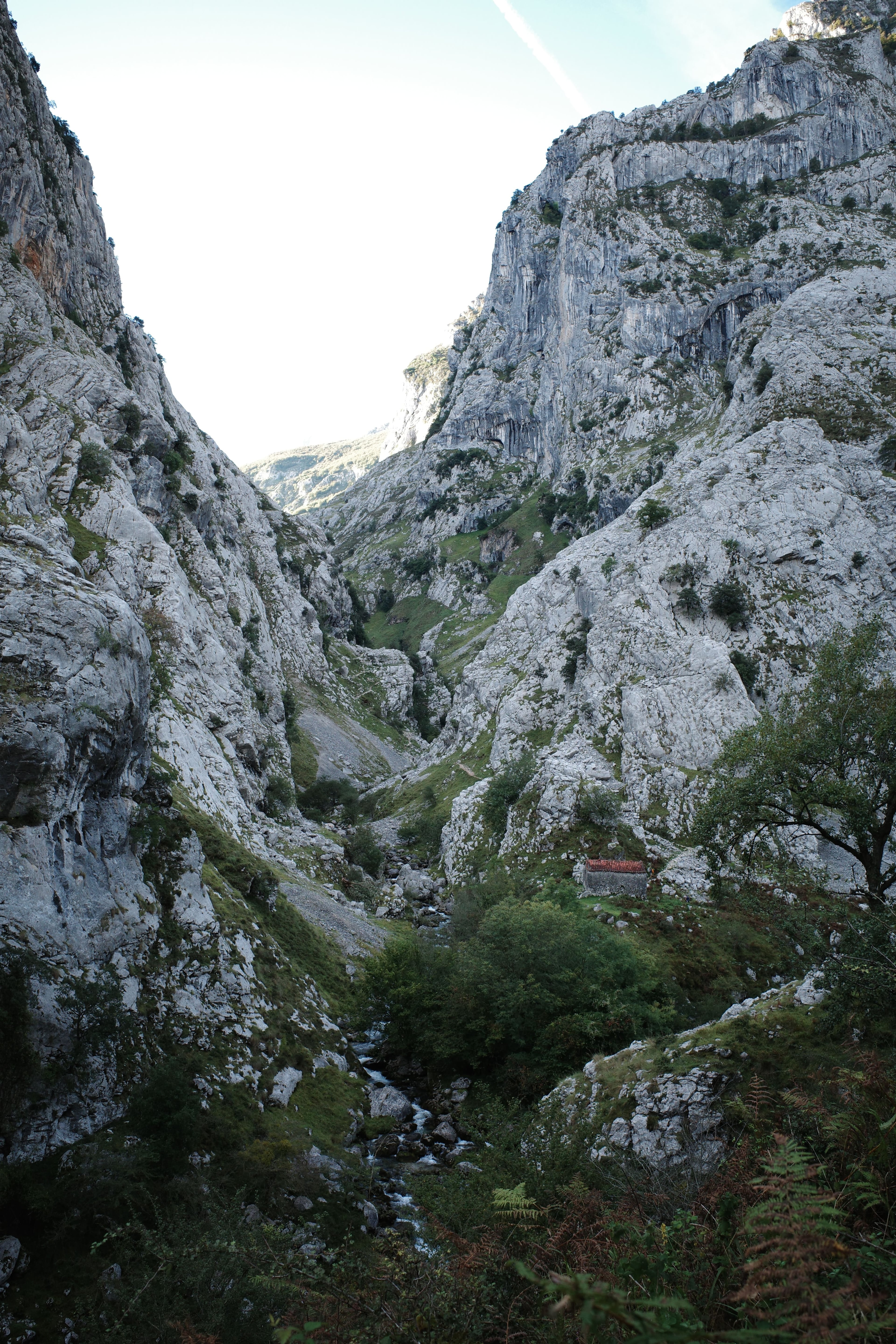 Picos de Europa