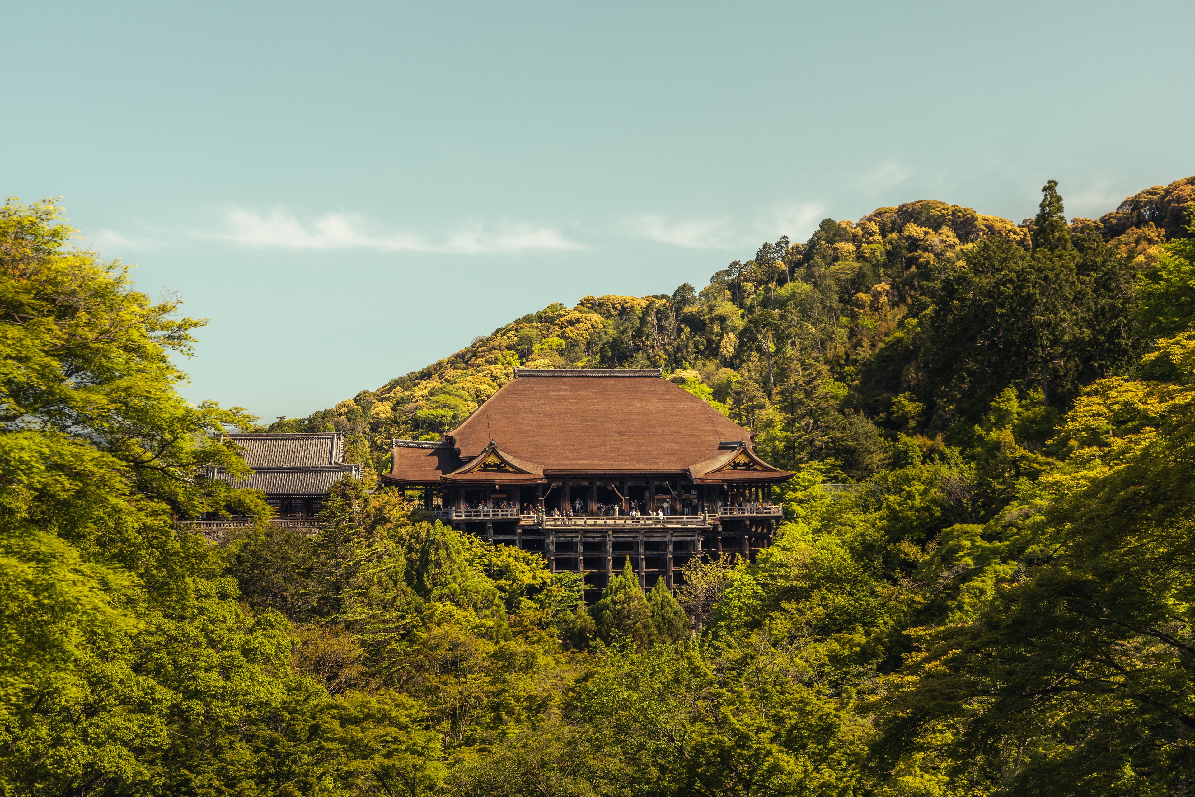 Kiyomizu-dera from Afar