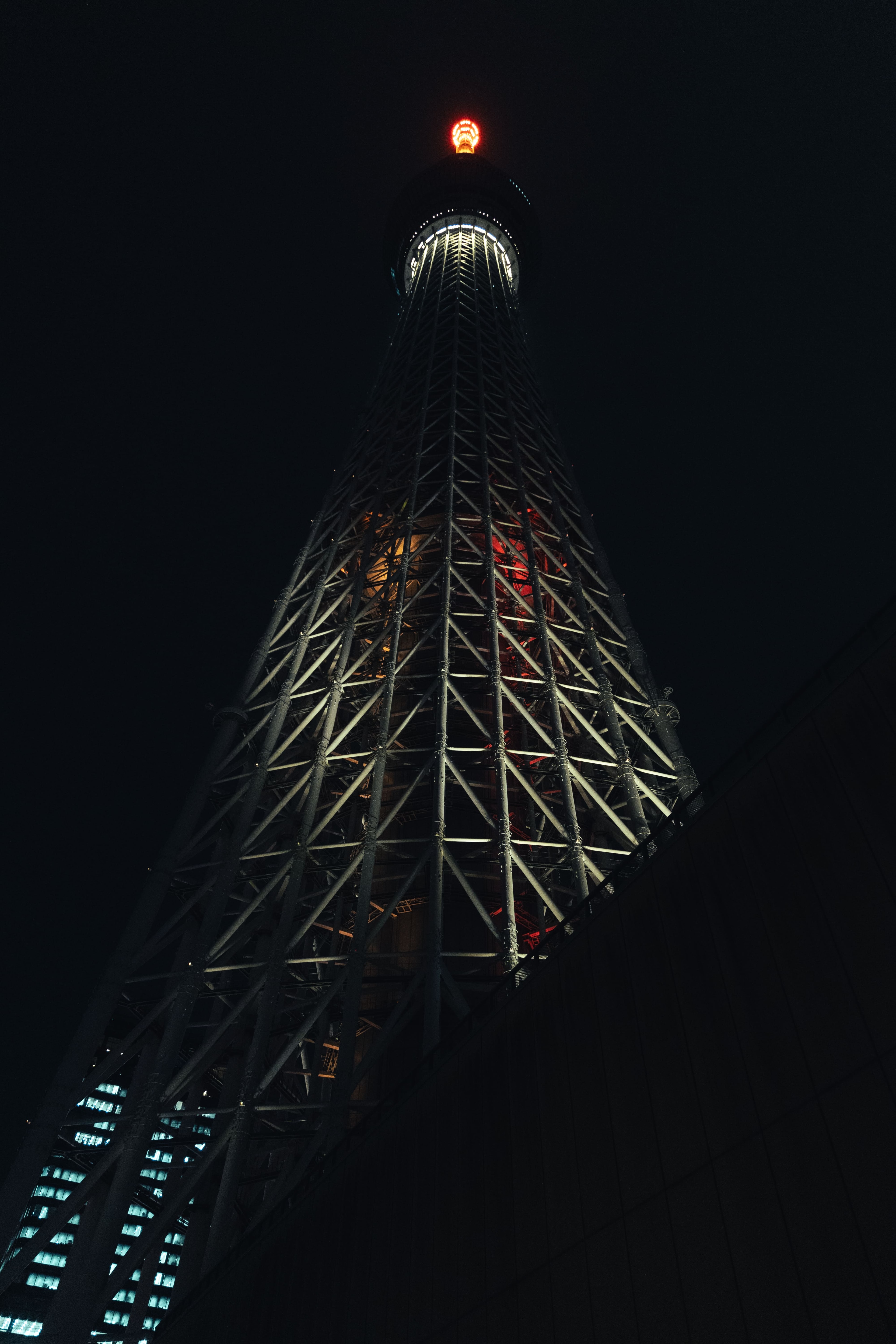 Into the Dark