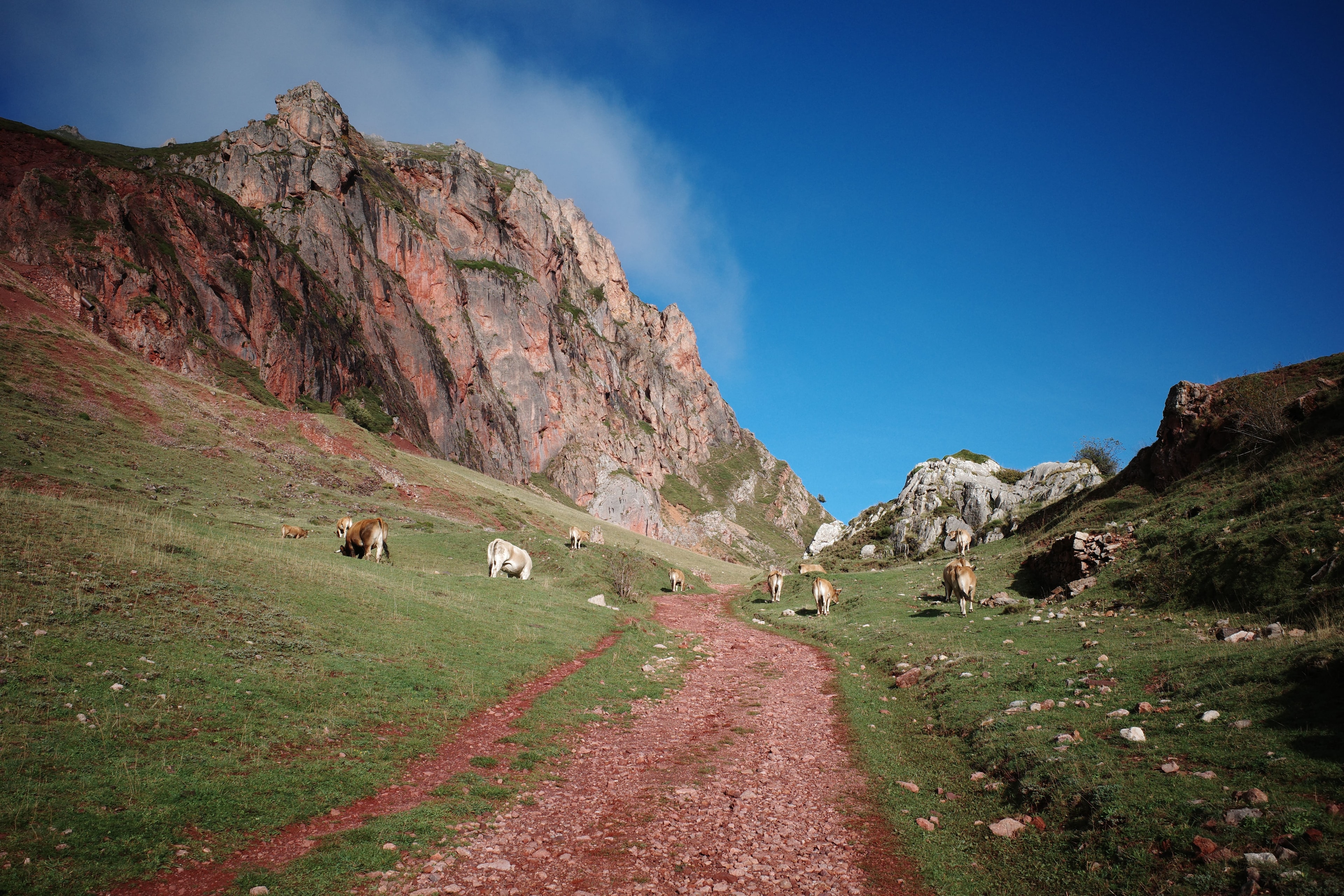 A Trail Through Rural Asturias